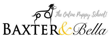 B_B-PARTNERS-Logo-WHITE-Background Mini Goldendoodle shopping